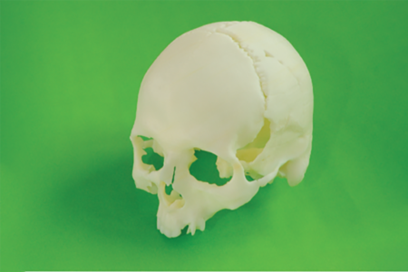 Lebka upíra z 3D tlače