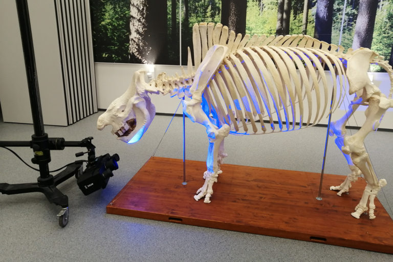 3D skenovanie kostry
